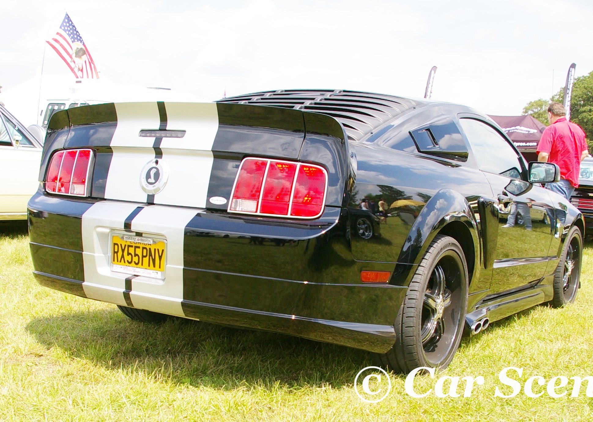2005 Ford Mustang Shelby Cobra rear view