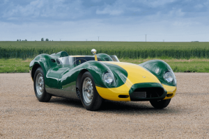 Lister knobbly 'Stirling Moss'Continuatio