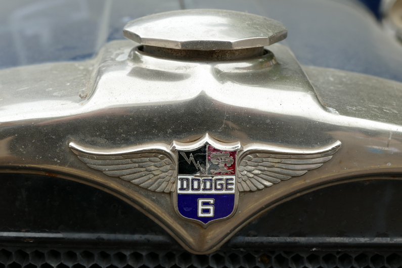 Dodge 6 Radiator badge