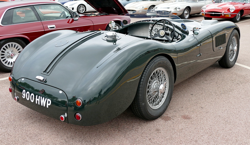 1953 Jaguar C Type. Rear