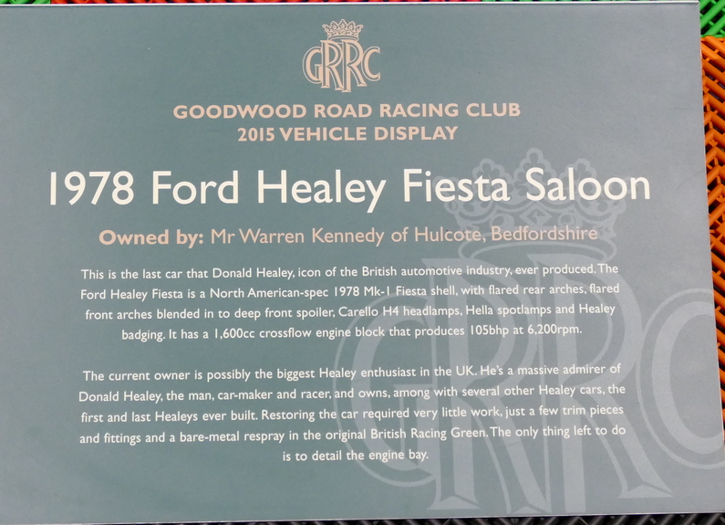 Ford Healey Fiesta (USA Spec.). Display Plate
